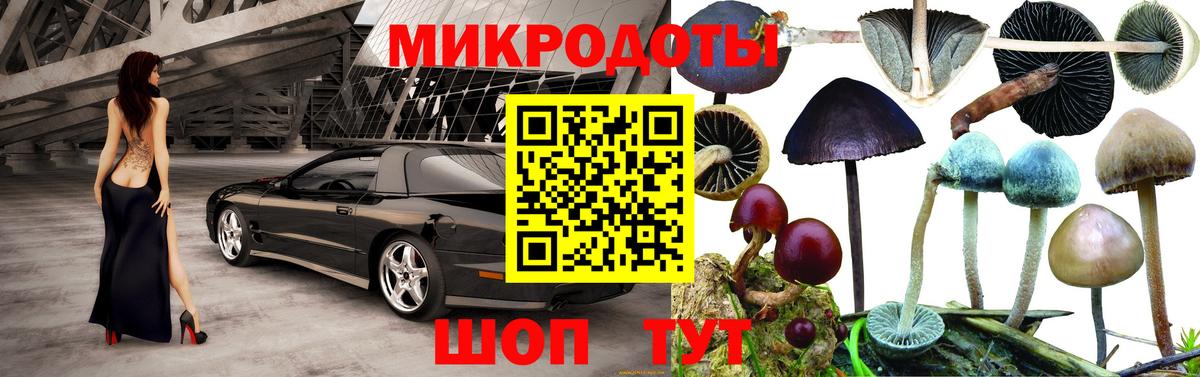 Тула  Псилоцибиновые грибы Magic Shrooms  дарнет шоп  Вход с VPN 